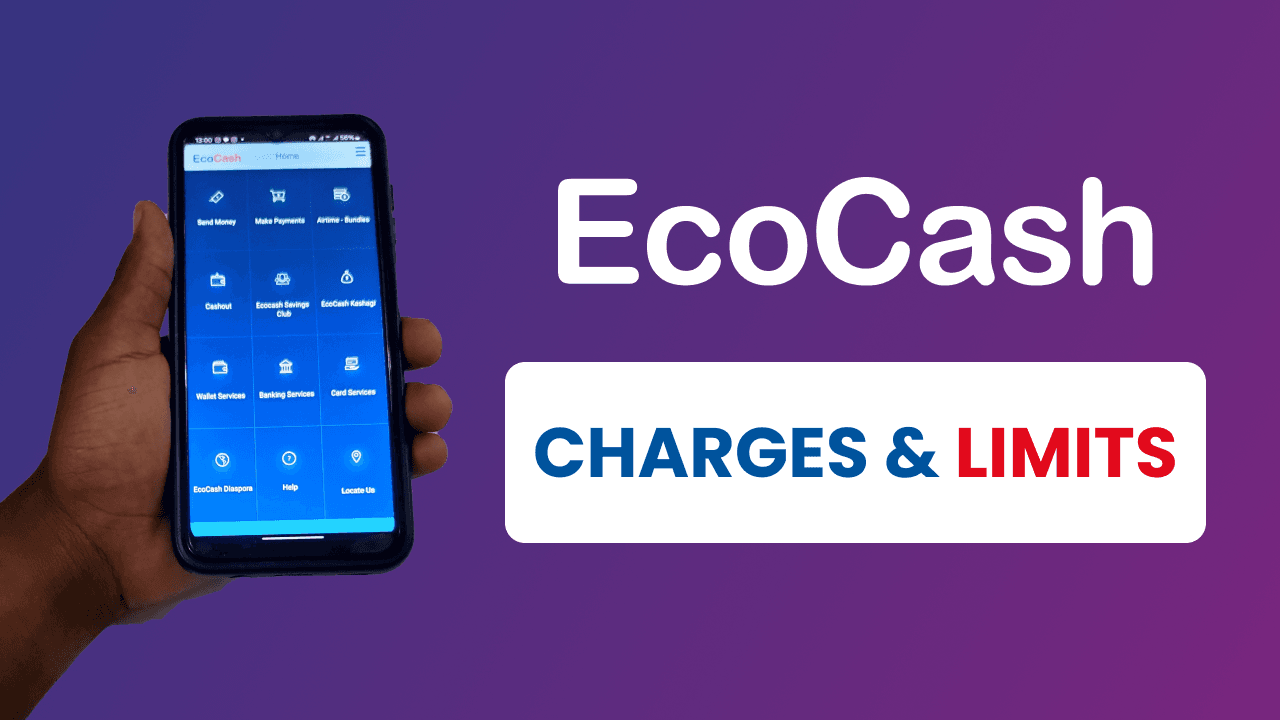 All updated Ecocash USD and ZiG fees and limits in 2024 