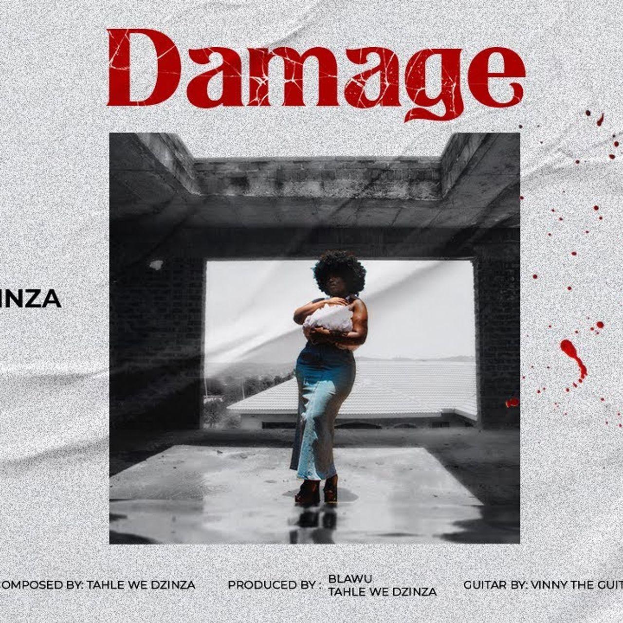 ‘Damage’ – Tahle We Dzinza, directed by Jonathan Samukange - IBZIM Blog