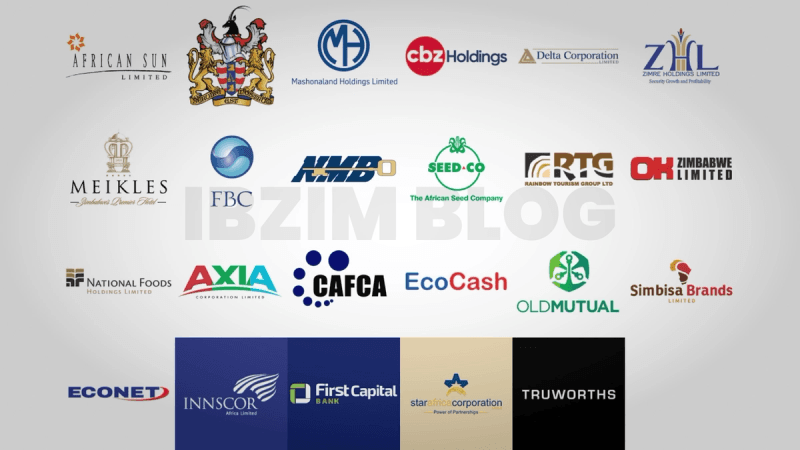 Richest Companies in Zimbabwe | IBZIM