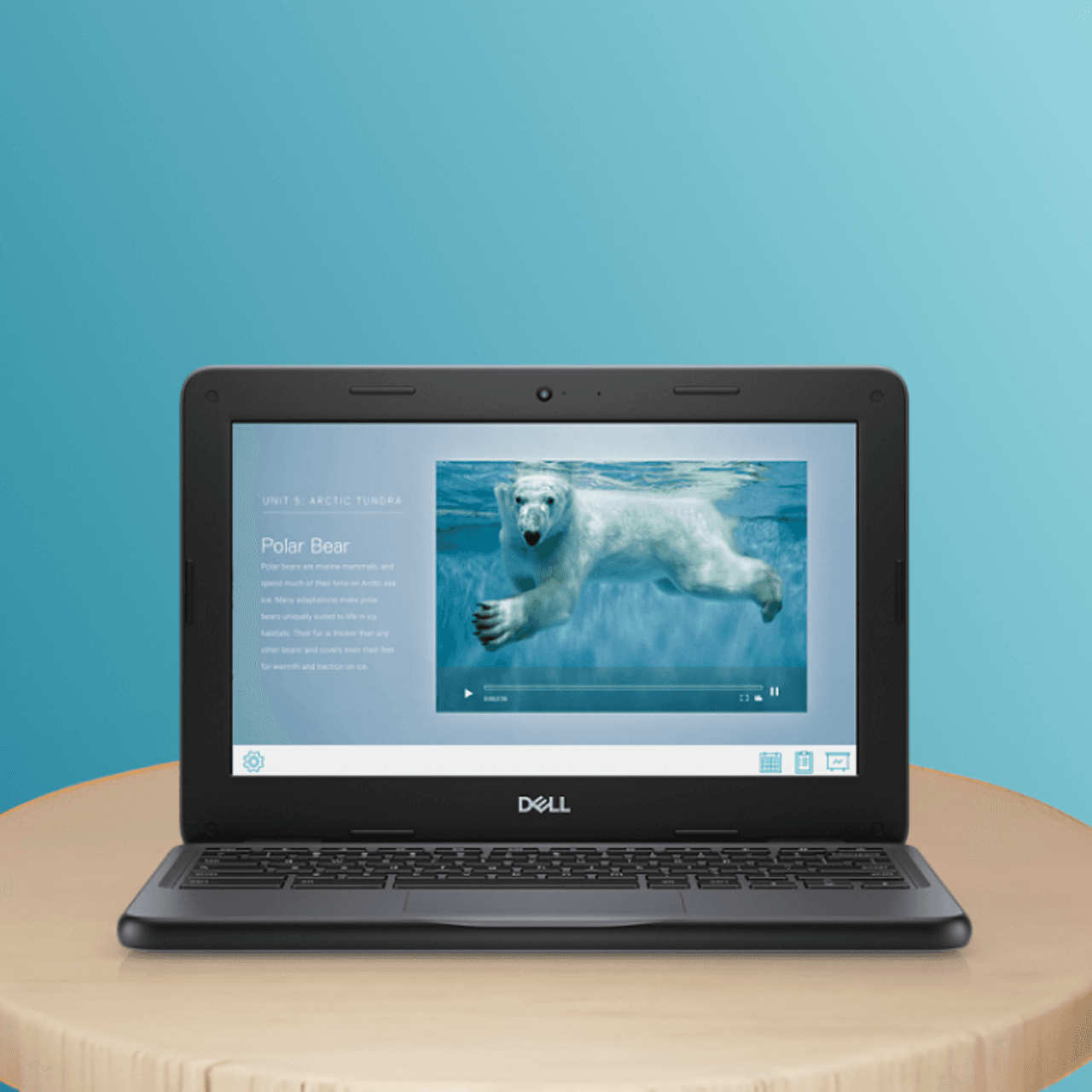 An image of the Dell Chromebook 3100 - IBZIM Blog