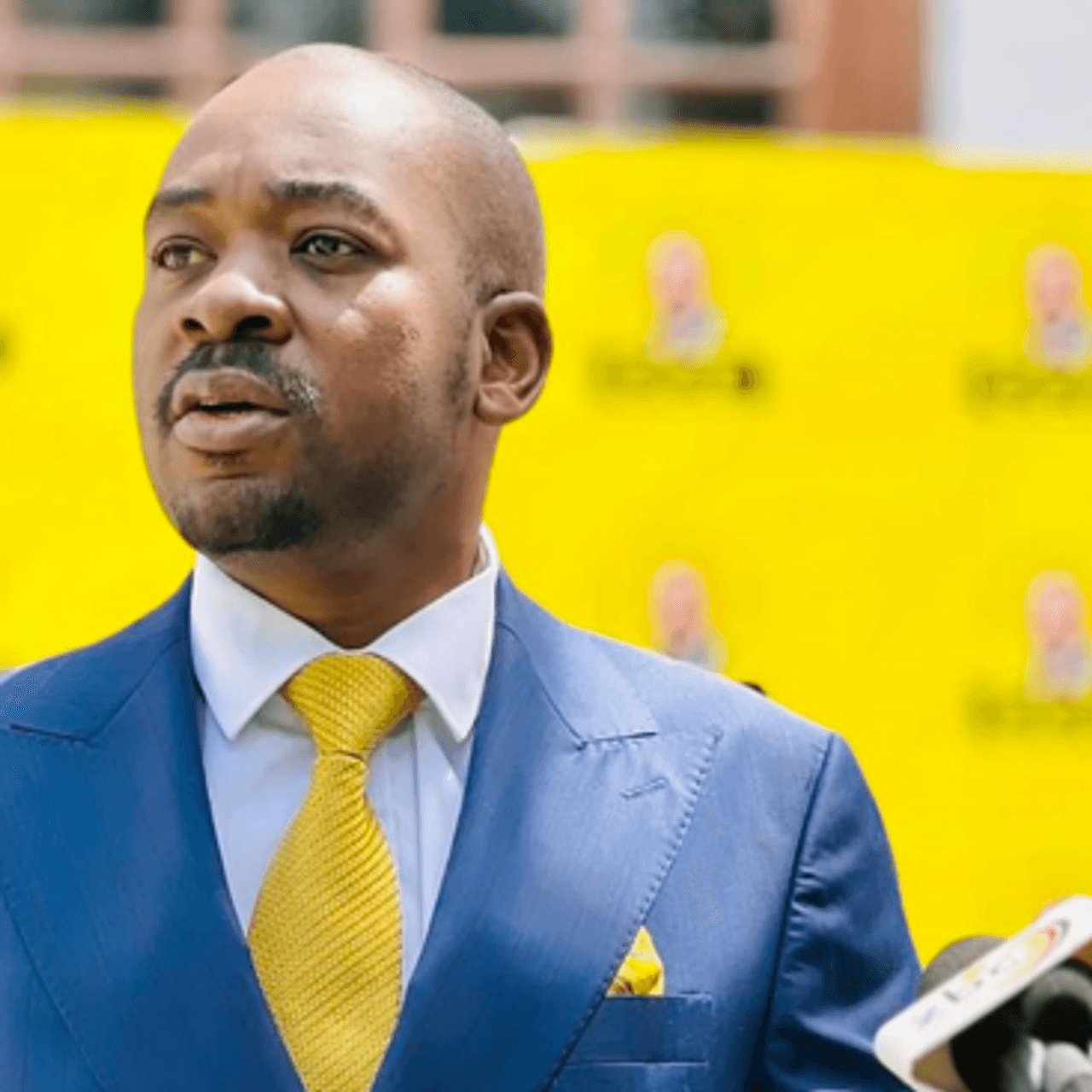 Nelson Chamisa (@nelsonchamisa) - IBZIM Blog